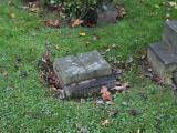 image of grave number 445243